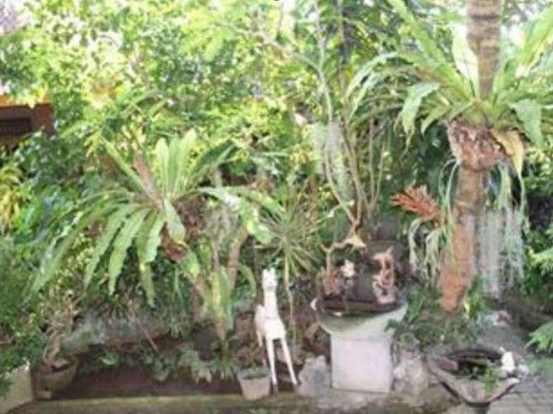 Bed and Breakfast Sadru House à Ubud Extérieur photo